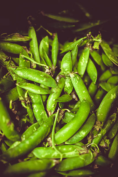 Green Beans