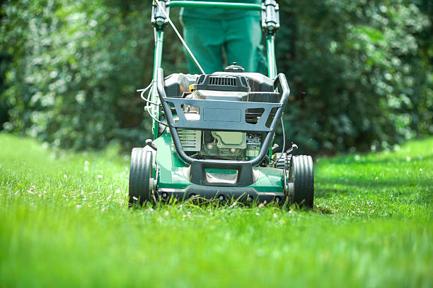 mann mähen einem grünen rasen. - lawn mower tractor gardening riding mower stock-fotos und bilder