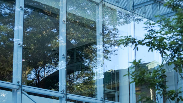 istock Close-up of the window glass with tree reflection. 1811342540