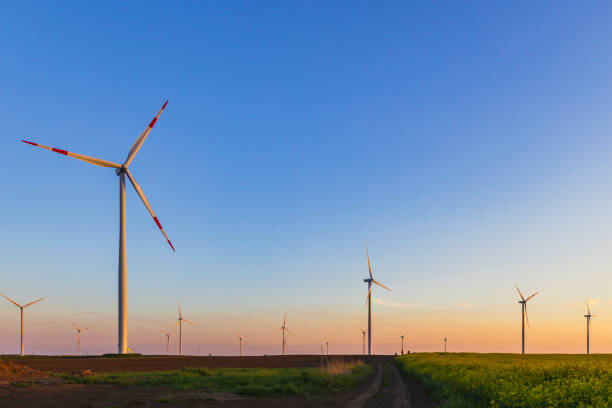 istock Wind turbines in the plain countryside after beautiful sunset 1811343716