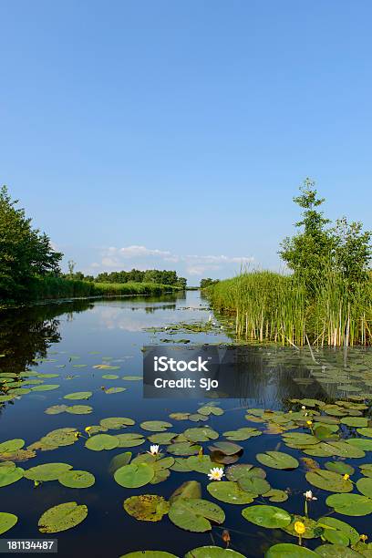 Wieden Krajobraz - zdjęcia stockowe i więcej obrazów Bagno - Bagno, Bez ludzi, Chmura