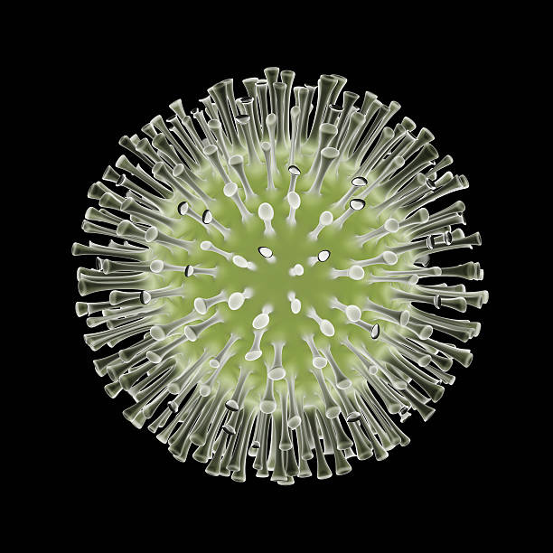 vírus xl - algae diatom high scale magnification micro organism imagens e fotografias de stock