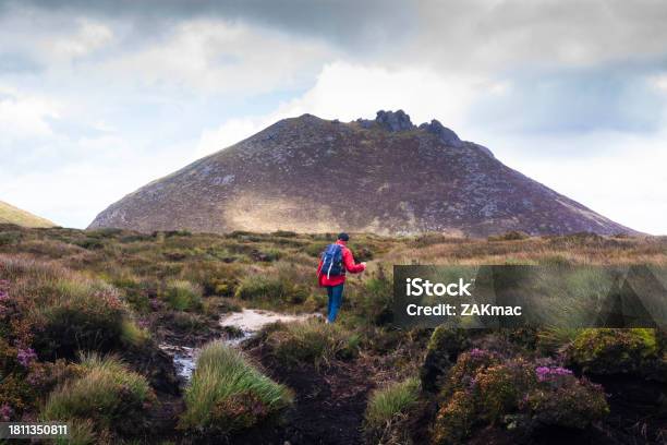 Man Walking In The Mourne Mountains In Northern Ireland Stock Photo Stock Photo - Download Image Now