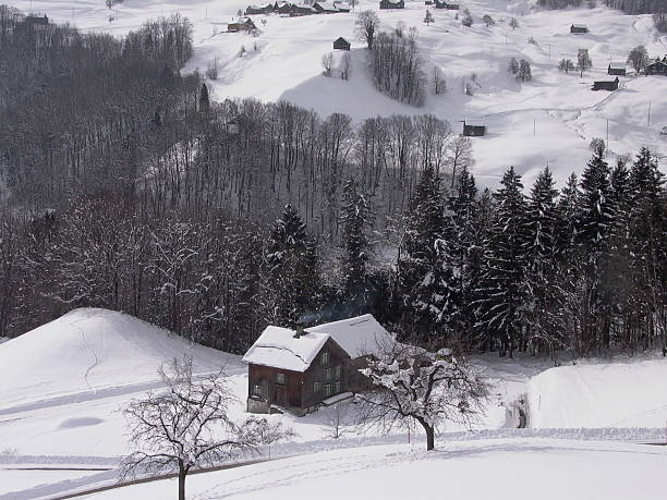 istock swiss christmas house 181135154
