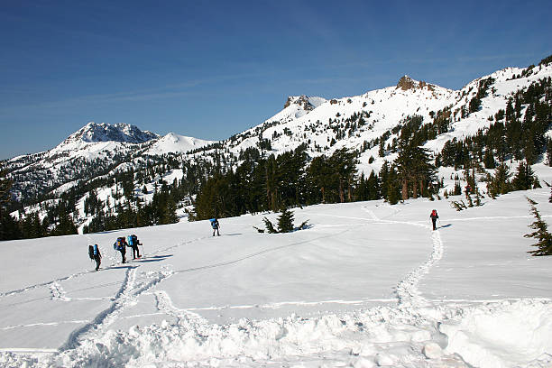 istock Group of Snowshoers 181135225
