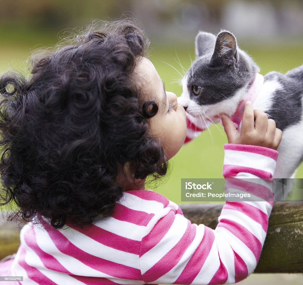 Ele é meu melhor amigo! - Foto de stock de Gato doméstico royalty-free