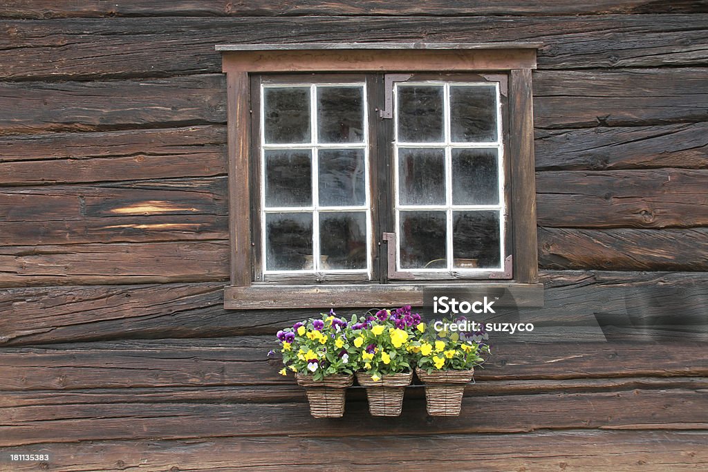 Okno z kwiatami - Zbiór zdjęć royalty-free (Architektura)
