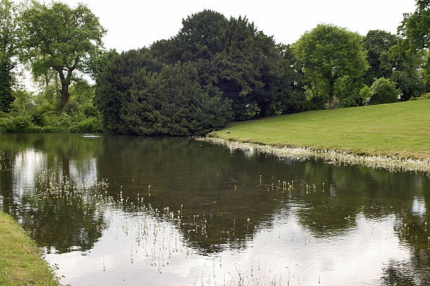 Pond in winter at Conlie in France, department of the Sarthe