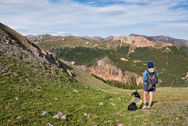 istock Hiker and Dog Looking at the View 181135870