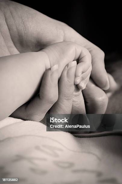 Mãe Segurando Bebê De Mão - Fotografias de stock e mais imagens de 0-11 Meses - 0-11 Meses, Adulto, Bebé