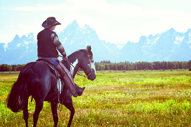 カウボーイ乗馬、ロッキー山脈へ - cowboy blue meadow horizontal ストックフォトと画像