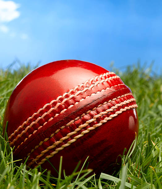 istock Cricket ball in outfield 181135940