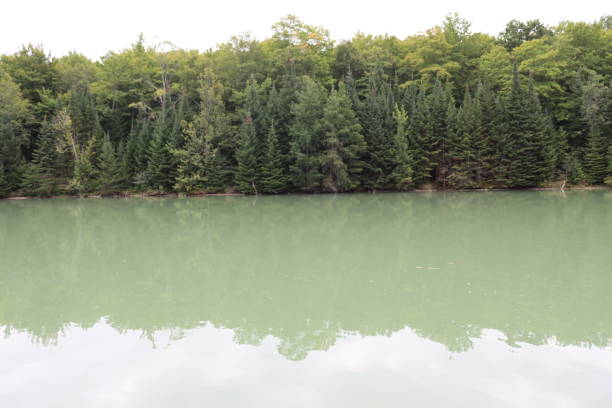 istock Green lake oasis hidden in forest 1811361845