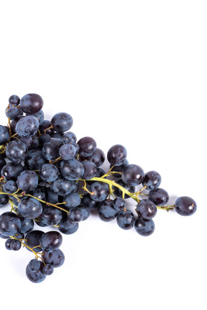 istock bunches of black grapes, Muscat variety 1811362404