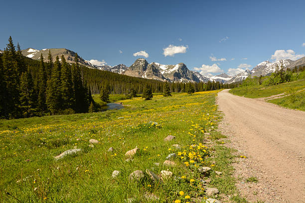 istock Perfect road trip into the Rocky Mountains 181136494