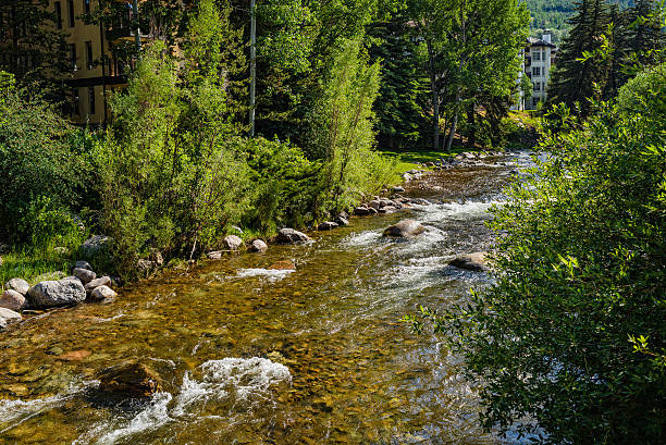 istock Gore Creek Vail Colorado Summer 181136552