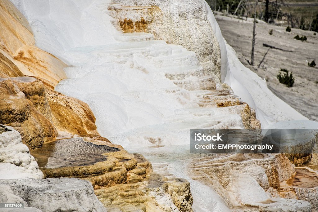 Mammoth Hot Springs del Parco Nazionale di Yellowstone - Foto stock royalty-free di Ambientazione esterna