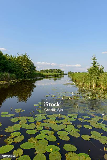 Wieden Krajobraz - zdjęcia stockowe i więcej obrazów Lilia wodna - Lilia wodna, Kanał wodny, Lotos