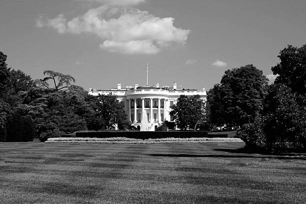 istock The white house, Washington D.C. 181138166