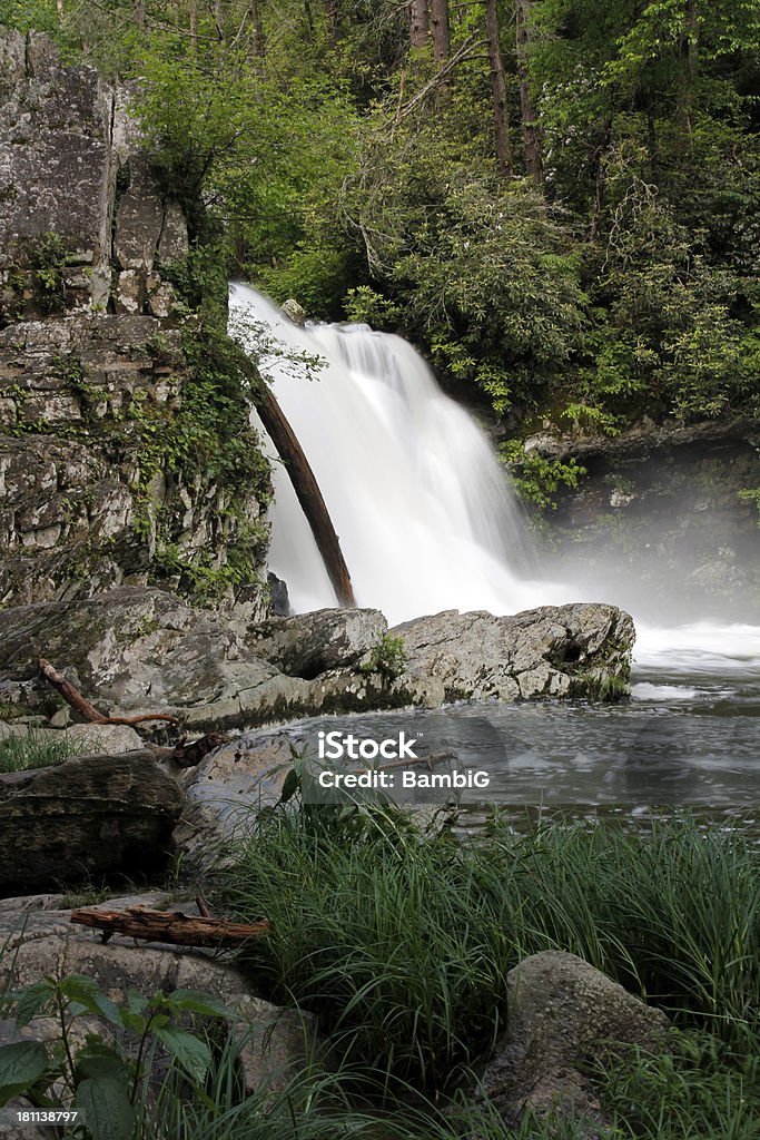 cascata - Foto de stock de Appalachia royalty-free