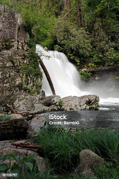 Foto de Cascata e mais fotos de stock de Appalachia - Appalachia, Beleza natural - Natureza, Bosque - Floresta