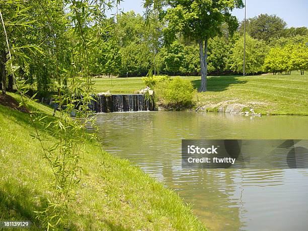 Photo libre de droit de Bassin Avec Cascade banque d'images et plus d'images libres de droit de Activité de loisirs - Activité de loisirs, Agriculture, Arbre