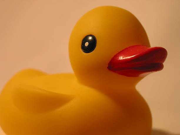 Canard en plastique - Photo