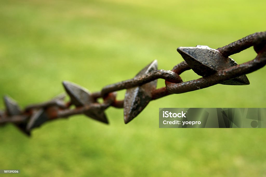 Hostile links "Hostile links, shallow DOFOther chain images:" Bonding Stock Photo