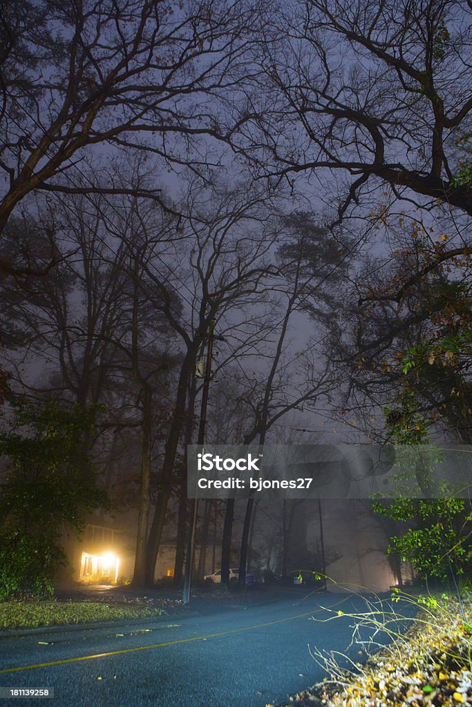 Brouillard nuit - Photo de Arbre libre de droits