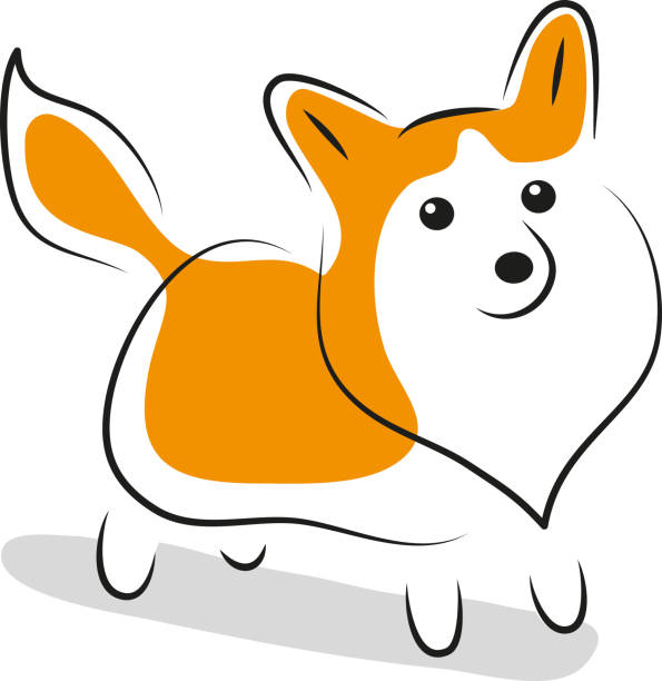 Cute simple stylized pet corgi dog vector art illustration