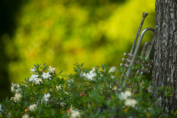trumpet leaning on a sweetgum tree in a bed of gardenias