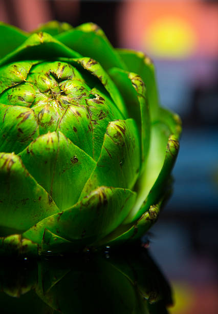 artichoke and reflection on water