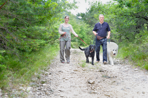 Couple walking dogs in forest Actually father and daughter, with a female Great Pyrenees and a male Briard-cross