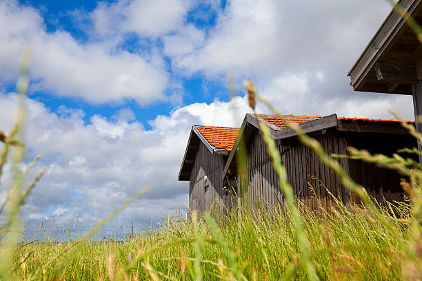 istock Gujan-Mestras, France 181140769