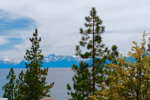 istock Lake Tahoe on a cloudy day 181140838