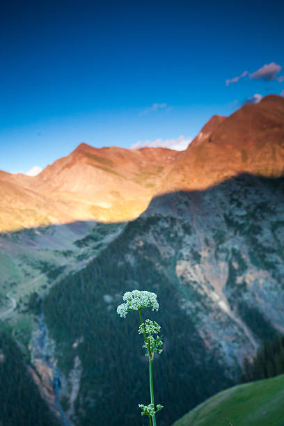 istock rocky mountain sunset landscape 181141038