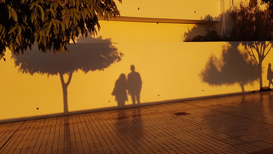 Silhouettes of people and trees