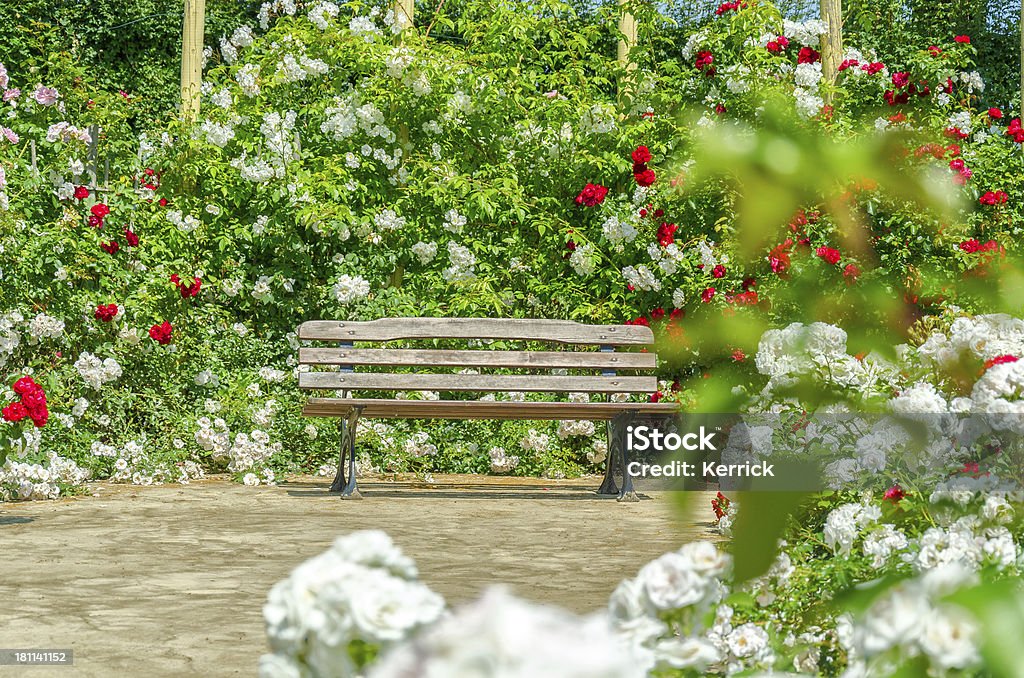 Bank im Sommer mit Rosen - Lizenzfrei Baumblüte Stock-Foto