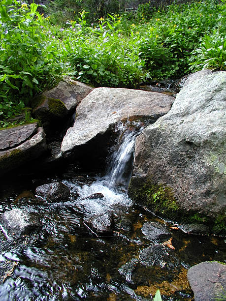 Babbling Mountain Stream stock photo