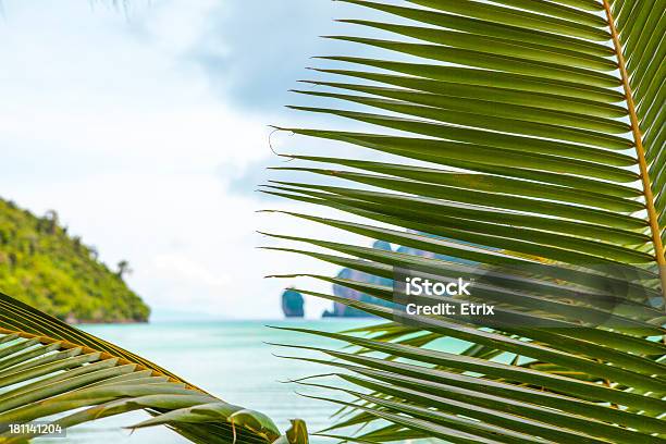 Palmleaf With Sea Background Stock Photo - Download Image Now - Blue, Cloud - Sky, Coastline