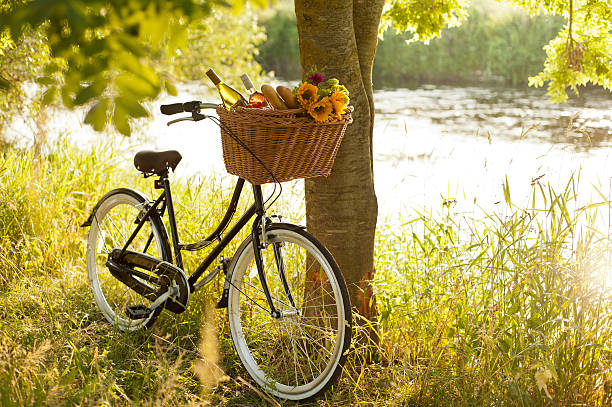 Picnic by the river Dutch style ladies bike with basket of food and wine resting by a tree next to a river on a summer's day. bicycle basket stock pictures, royalty-free photos & images