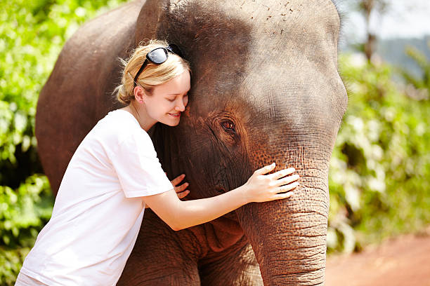 The Close Bond Between Animal And Human Stock Photo - Download Image Now -  Elephant, Animal, Stroking - iStock
