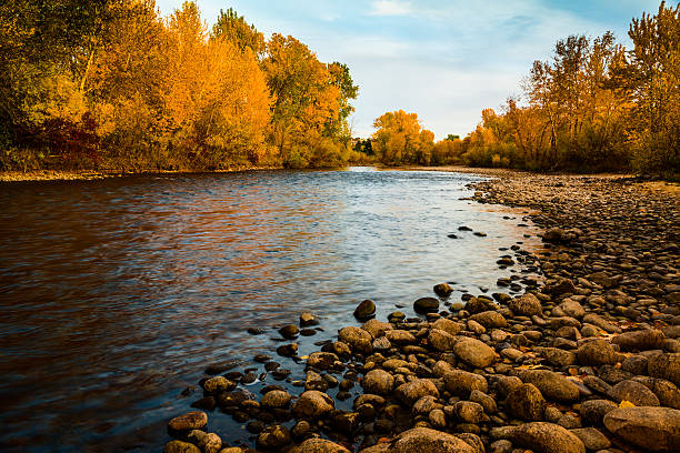 fiume boise autunno - boise river foto e immagini stock