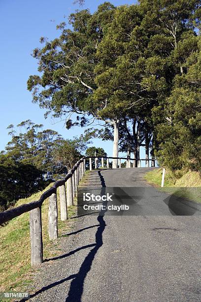 Country Road Stock Photo - Download Image Now - Asphalt, Bush, Curve