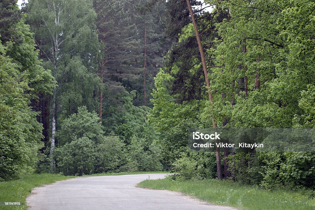목재 road - 로열티 프리 2차선 고속도로 스톡 사진