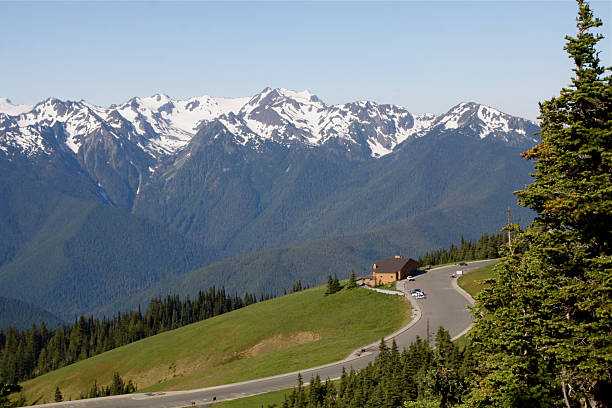 istock Olympic Mountains From Hurricane Ridge 181141965
