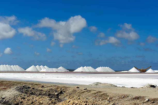 istock saltplain on the island of bonaire 181142177