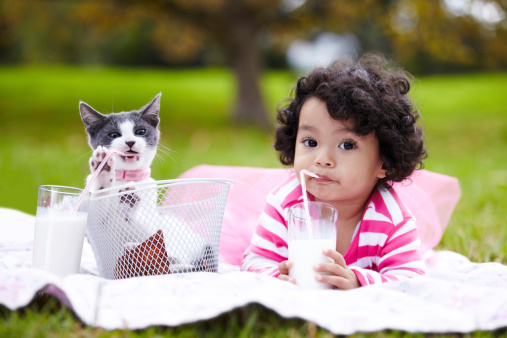 Adorable little girl drinking milk through a straw while lying on the grass next to her kitten