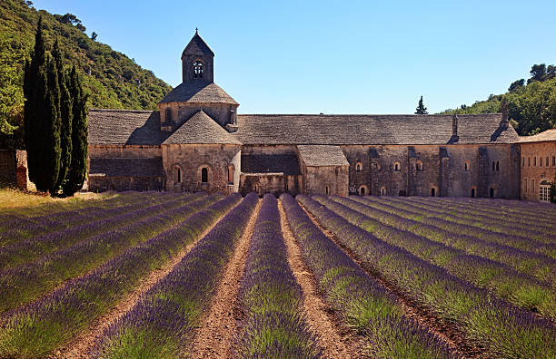 istock Senanque Abbey, France 181142390