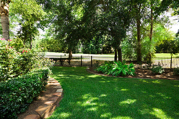 natura: cortile con vista sul campo da golf. flowerbeds e cespugli. - penombra foto e immagini stock